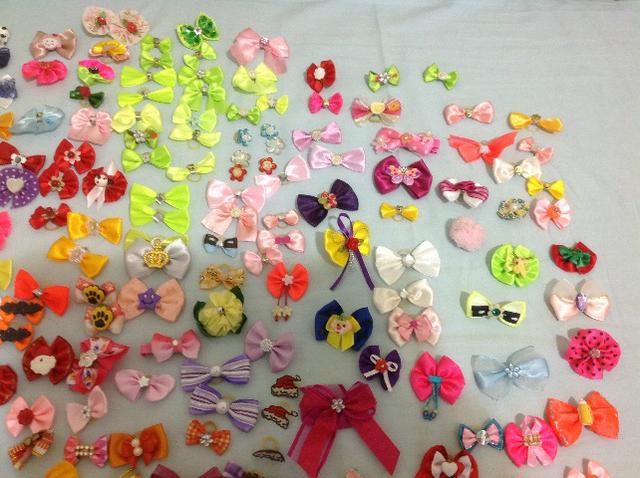 Kit pet laços, coleiras e dedeira dental