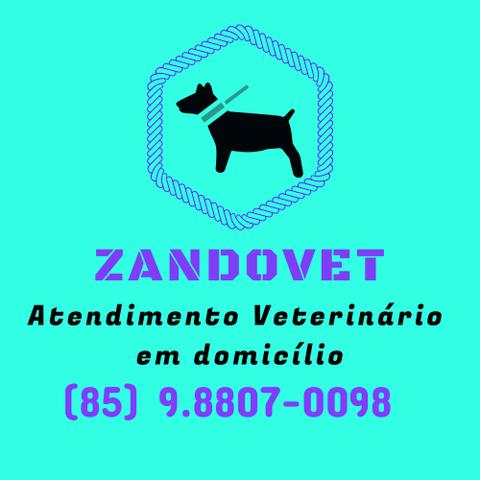 ZandroVet