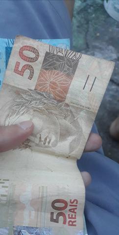 Compro uma marreca rouen