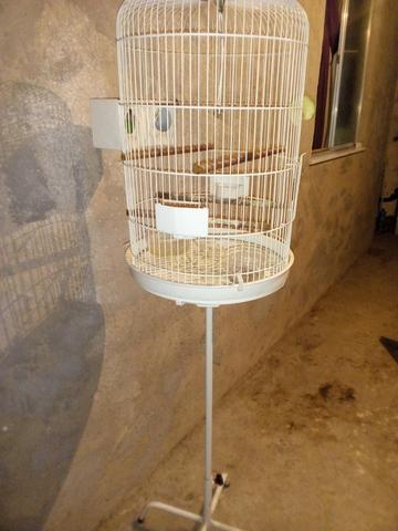 Gaiola para passaros muito grande linda gaiola