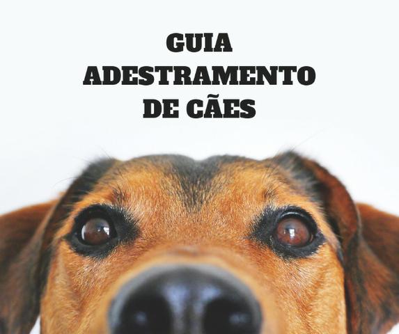 Guia de Adestramento de Cães (Livro Digital - Ebook)