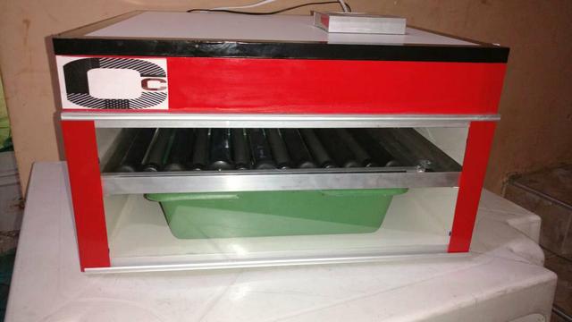 Chocadeira automática  ovos