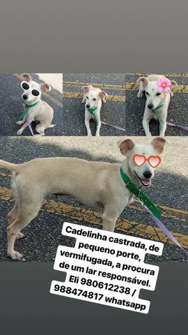 Doação me dê uma 2 chance + o ?