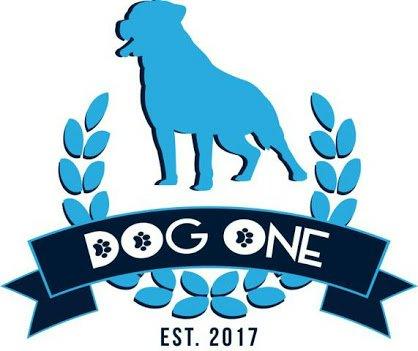 DogOne Adestramento bh