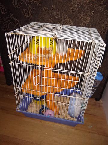 Gaiola hamster, acompanha bebedouro e casinha