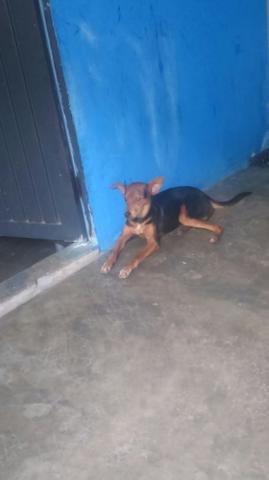 Doa-se ela se chama mel