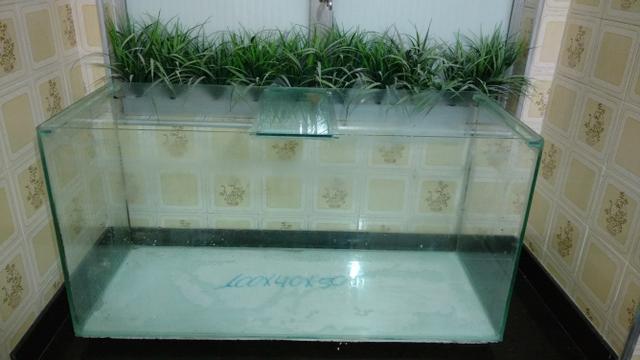 Aquário 200l (1 metro)