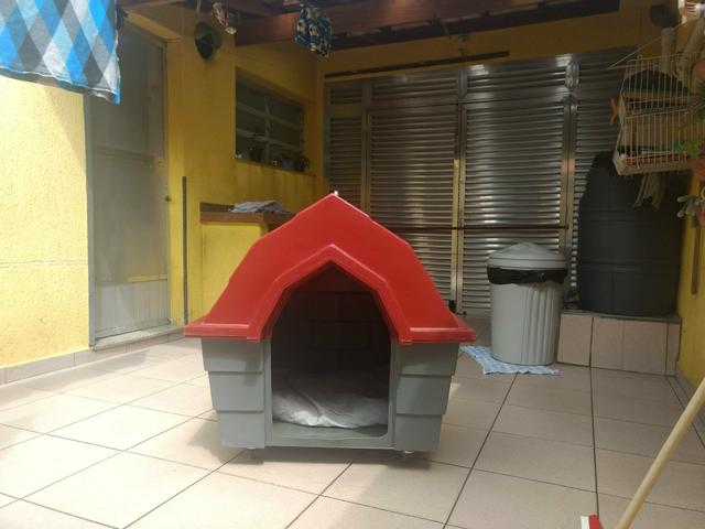 Casinha de cachorro