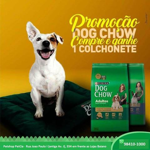 Ração Dog Chow 3kg + Colchonete
