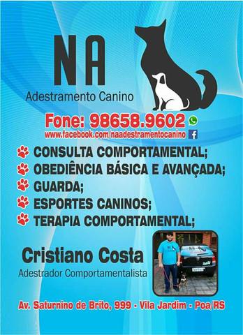 Adestramento de cães