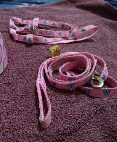 Lote para pet fêmea