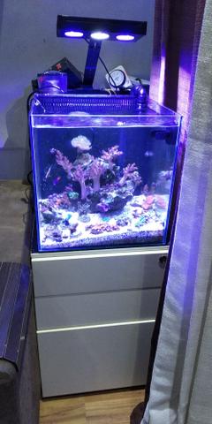 Aquário Marinho Nano Reef 50 litros