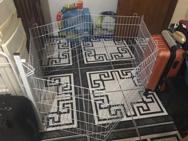 Cercadinho para cachorro