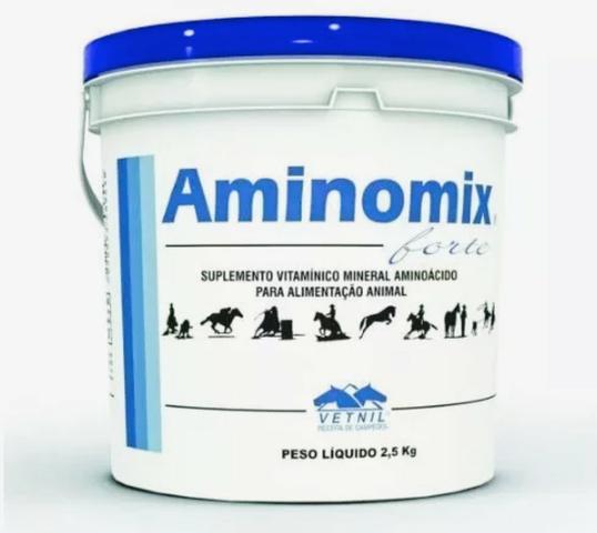 Aminomix forte, suplemento