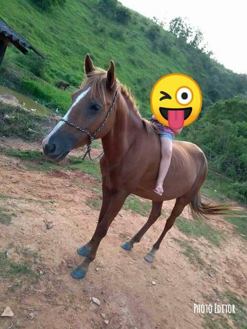 Vendo ou troco por algo do meu interese