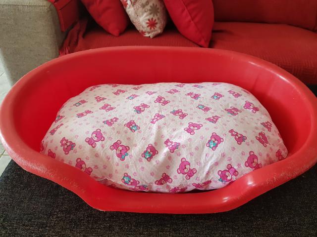 Cama usada com colchão NOVO