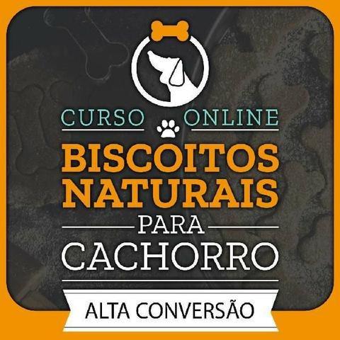 Curso Online: Biscoitos Saudáveis Para Cachorros