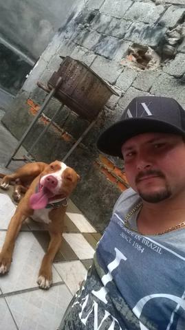 Dog walker e cuidador a domicílio