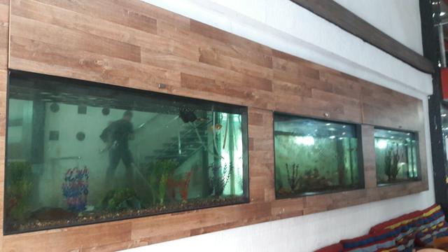 3 aquários