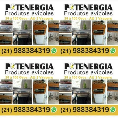 Manutenção em chocadeiras rj