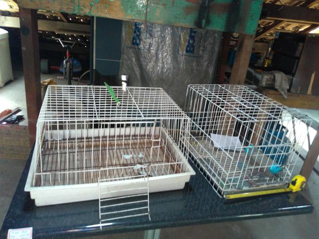 2 gaiolas para roedores