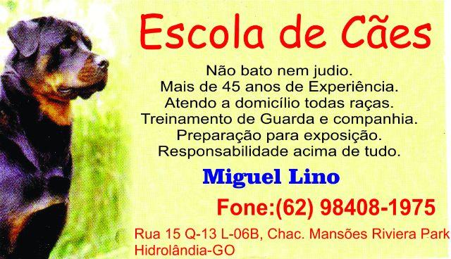 Miguel Lino - Adestramento de Cães com mais de 45 anos de experiência