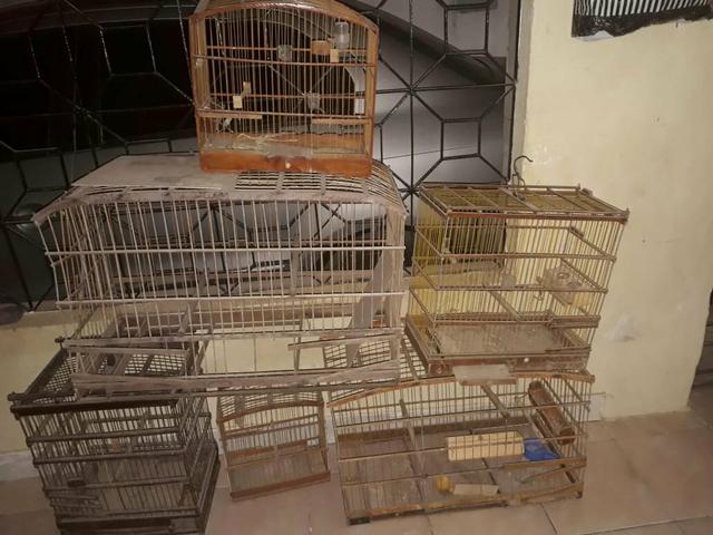Venda de 6 Gaiolas