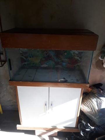 Aquário com móvel 250
