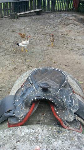 Sela quebra galho barato!