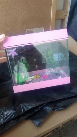 Aquário para betta