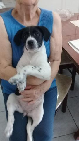 Linda bebê apenas 3meses