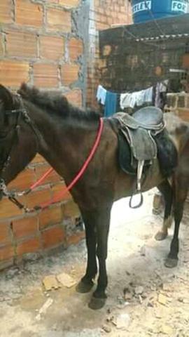 Troco égua meio pra frente e um k gigas