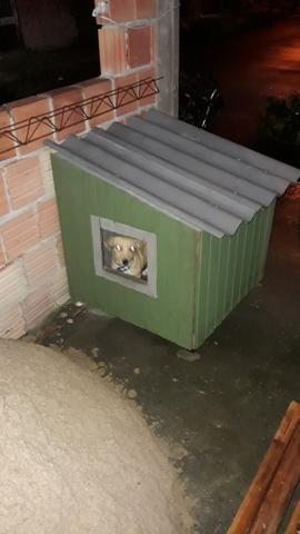 Casinha de cachorro