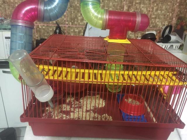 Gaiola para Hamister