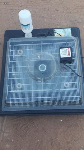 Chocadeira automática digital