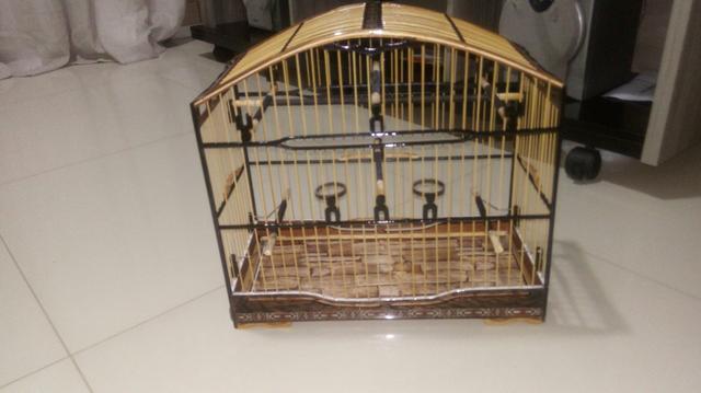 Gaiola de torneio (71)