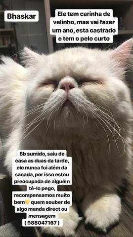 Procura-se, recompensa-se