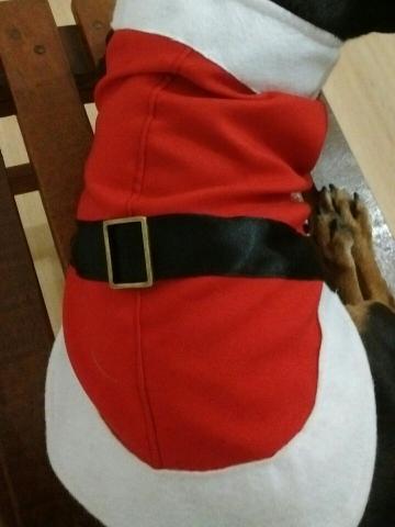 Roupa pet papai Noel