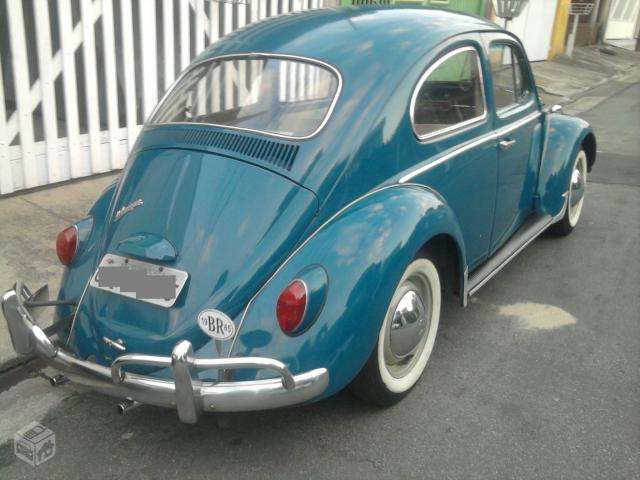 Linea fusca фото