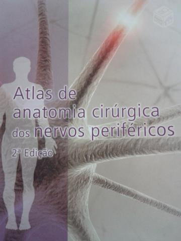 Atlas de anatomia humana netter preço