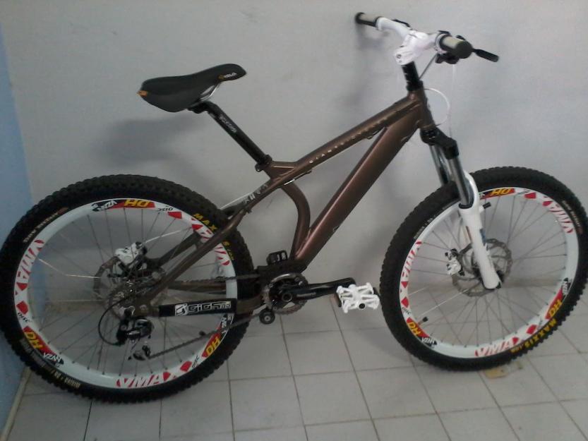 Bike-Giant-Acid-DH-20140201161534.jpg