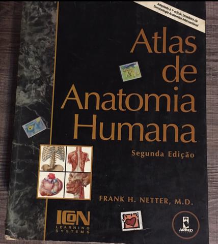 Atlas De Anatomia Netter Pdf Portugues