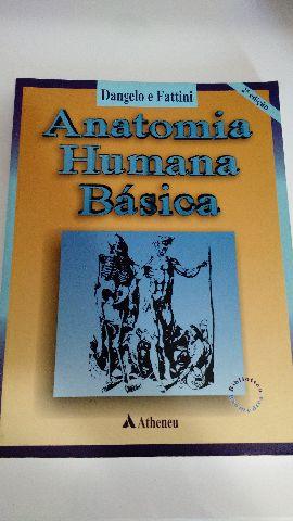 Anatomia humana en espanol