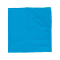 Alberta Ferretti lightweight scarf - Azul