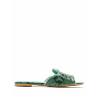 Blue Bird Shoes Shower flat em couro Python - Verde