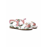 Dolce & Gabbana Kids Sandália com estampa de rosas tropicais - Branco