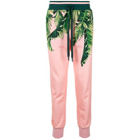 Dolce & Gabbana Calça esportiva com estampa de palmeira - Rosa